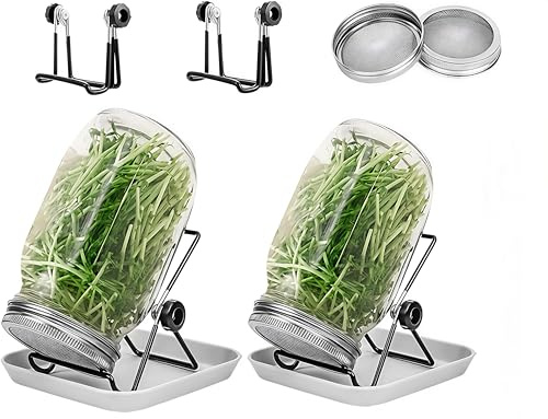 2 set på 1000 ml groddglas groddar groddar groddar burkar med filterlock i rostfritt stål, stativ och uppsamlingsbricka, groddar för broccoli, Alfalfa, krasse, nybörjarset för Microgreens