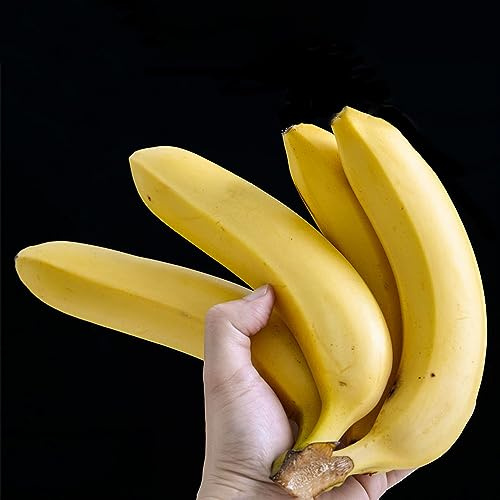 semi di banana - resistenti rialzata giardino sul balcone interna serre in vaso 300pcs