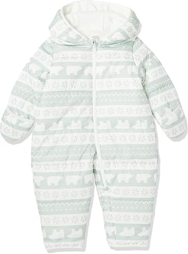 Simple Joys By Carter's Baby One-Piece Snowsuit Bunting Prambag, Sage, 18 Months