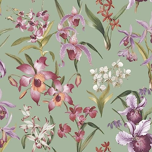 SOPHIE LAURENCE Floral Orchid Wallpaper - Purple Pink Green Exotic Tropical Leaves - Stylish, Washable, Strippable - Paste The Paper Feature, Full Roll