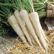 SEMI ORTO-COLLEZIONE 1-PASTINACA-SCORZONERA-RABARBARO VICTORIA-CICORIA DI CHIAVARI- PREZZEMOLO DA RADICE