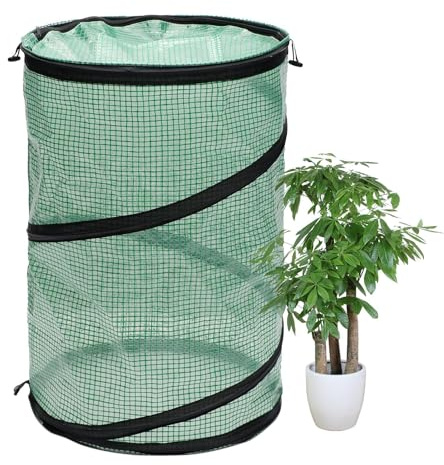 Invernadero de mesa, pequeño invernadero para interiores, Invernadero portátil para patio trasero Invernadero de mesa, compacta para invernadero, para plantas de interior para Patio, balcó