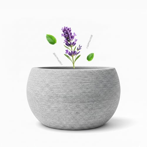 FloraVigo Bol d'arômes pour sauna, 10,5 x 6 cm, bol d'aromathérapie comme accessoire pour les salles de sauna, convient pour le stockage des cristaux de menthol et des huiles essentielles de sauna