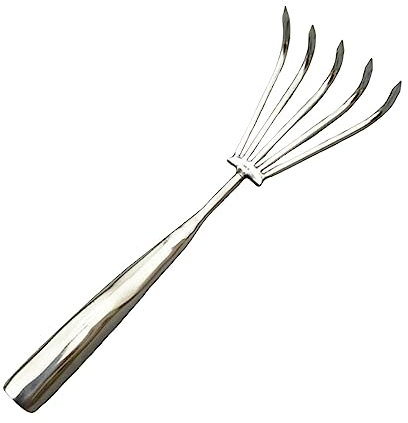 Sharplace Petit râteau à main Râteau à arbustes en métal Léger et robuste Râteau à griffes Outil à main Râteau à feuilles pour balayer l'herbe de jardin, 5 dents