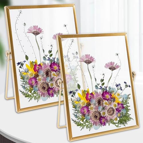 Vaileal 2 Stück Glas-Bilderrahmen: 15 x 20 cm, Retro, Gold, Doppelseitige Anzeige, Hochwertige Materialien