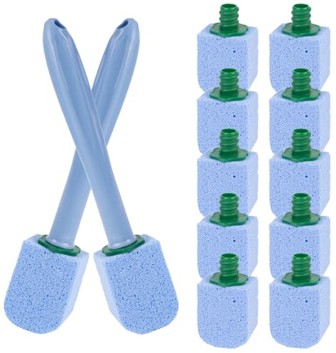 10 pezzi pietra pomice WC, 2 manici e 10 pietre per la pulizia, efficace pietra per la pulizia del WC contro calcare e urina, per bagno e cucina – blu