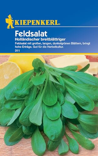 Kiepenkerl Feldsalatsamen Holländischer breitblättriger 311 - Salatsamen - Saatgut - Inhalt für 6 lfd. Meter - hohe Erträge - Gut für die Herbstkultur