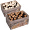 Hawlik Pilzbrut - Set di 2 colture fungine da champignon XXL – grande set da degustazione – facile da coltivare da funghi, senza conoscenze preliminari – set da allevare funghi - funghi coltivazione