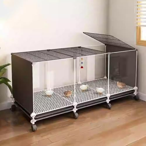 Rutin - Caja de cría de pollos con ruedas, jaula transparente para pollo, casa de codorniz, almohadillas cifradas, diseño de bandeja, conejera portátil, jaula de aves de corral para animales pequeños