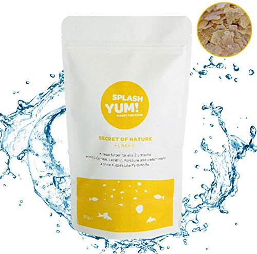 SplashYum! 2X Flocken Flockenfutter Fischfutter Aquarium Teich Hauptfutter Zierfische mit L-Carnitin