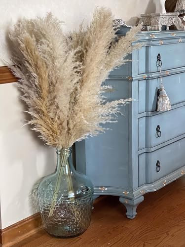 15 Piezas 100 cm de Hierba de la Pampa Grande, Ramo de Flores secas Naturales y esponjosas, Hierba de la Pampa XXL, para decoración del hogar Boho, decoración de Pared, Mesa, Boda, Dormitorio