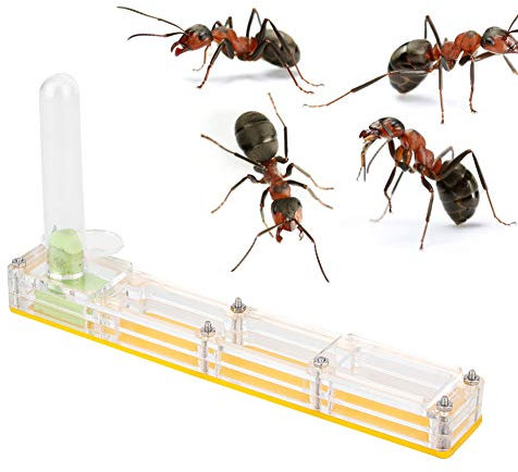 Ameisenfarm aus Acryl, Ameisenzuchtbox Transparente, 14x2,2x7,5cm, Natürliche Ameisenfarm mit Wasserturm zur Befeuchtung, Acrylic Ant Breeding House, für die Insektenzucht (Gelb)