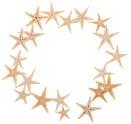 HAWILLOSCH 20pezzi Mini per Decorazioni Te Accessori per Aromatiche Decorazioni Tematiche Oceaniche per Matrimoni e al