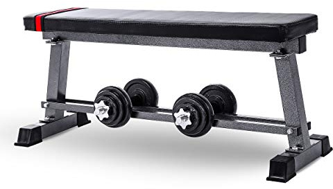Lions Flat Weights Bench with Dumbbell Rack - Heavy Duty Training Multi Gym Weight Lifting Bench, Exercise Home Gym Fitness Equipment for Full Body Workout, Black
