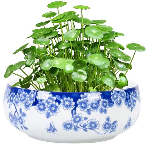 Lotus Bowl Pot de fleurs en céramique 17,2 x 7,1 cm avec motif floral, bol de lotus avec fond antidérapant pour animaux de compagnie, tasses à thé Style 2