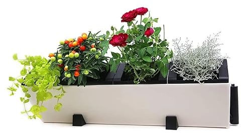 WUEFFE Fioriera a parete autoirrigante, Giardino Verticale, Vasi autoirriganti - cm.57x18x18 (1 pezzo)