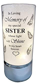 David Fischhoff Family Members Light Up Memorial Light Tube Sparkly Shimmering Indoor Decoration Sister