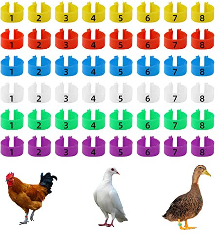 CYWVYNYT 48 Stück Hähnchen Beinringe Mehrfarbige Hähnchen Identifikation Beinbänder Nummerierter Clip an Geflügel Beinringen für Gamefowl Truthahn Ente Gans Guinea (18mm)
