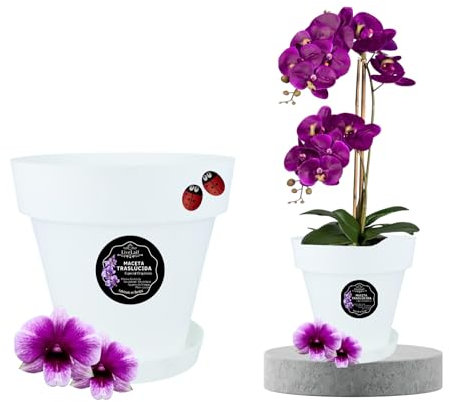 LiveLaif®-Ø19cm Maceta Orquidea Traslúdida + Plato Maceta | Maceta Orquidea Transparente | Maceta Plastico | Macetas para Orquídeas Transparente | Macetero Orquidea (1, ⊘19 cm)