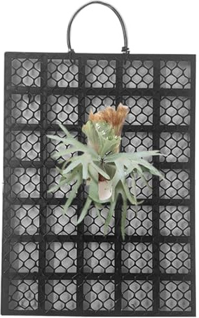 de Fixation pour Platycerium - Présentation Verticale Support pour Platycerium,Support s Grimpantes Orchidées pour Bureau Balcon Salon Intérieur Extérieur