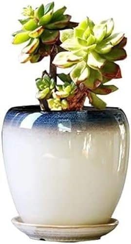 Pot en céramique moderne et simple pour salon, plantation de fleurs et de plantes vertes, radis vert, chlorophytum, pot de fleurs en céramique, pot de fleurs cylindrique avec trou de drainage, 15 x 1