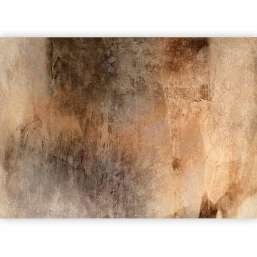 murando Fotomurales autoadhesivos Abstracto 343x256 cm Papel Pintado coración Pared Murales Pegatina corativos adhesivos 3d Fotográfico Aspecto Concreto Aspecto Industrial como pintado a-C-10056-a-a