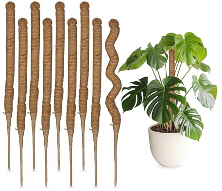 Relaxdays Kokosstäbe im 10er Set, biegsame Pflanzenstäbe, für Monstera, Efeutute und mehr, 60 cm lang, Kokosfaser, Natur