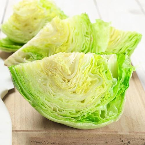 semillas de lechuga iceberg de tradicionales de lechuga iceberg resistentes de jardín Comprar 1000pcs