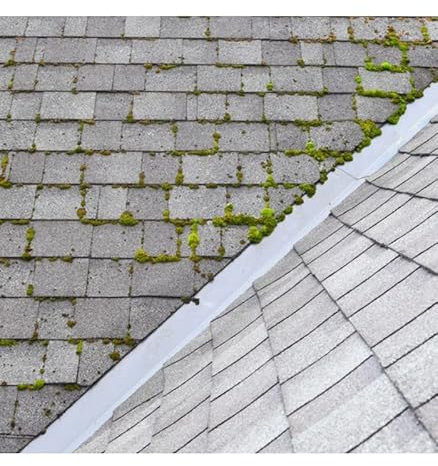 Imperméabilisant incolore traitement destructeur algicides lichens et verdissures 10 L - MATPRO