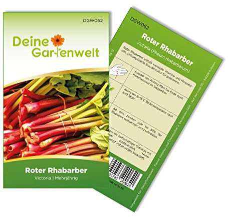 Rhabarber Victoria Samen - Rheum rhabarbarum - Rhabarbersamen - Gemüsesamen - Saatgut für 10 Pflanzen