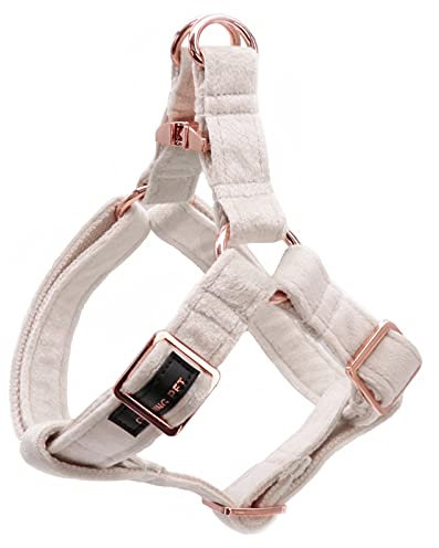 ARING PET Samt-Hundegeschirr, Verstellbar Ohne Zug, Weiches Weißes Hochleistungs-Halfter für Kleine, Mittelgroße und Große Hunde