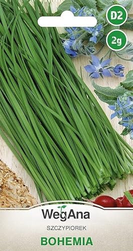 WegAna Ciboulette Bohemia Graines 2g (Environ 800 graines) Graines de légumes robustes, graines de légumes, graines de culture, graines pour la serre