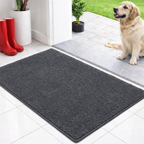 casa pura Schmutzfangmatte innen 120 x 180 cm Anthrazit - rutschfeste Maschinenwaschbare Fußmatte - Türmatte Sauberlaufmattestürmatte - Fussmatte für Hund - Haustür & Flur - NASA