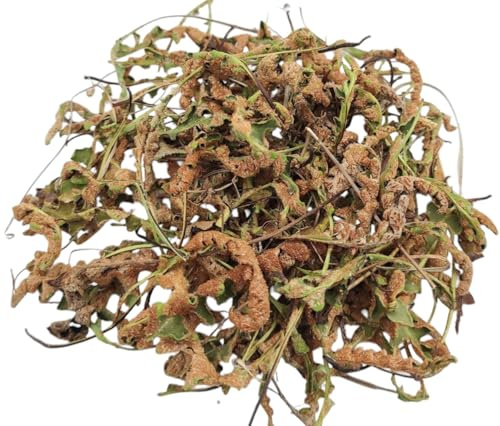 Spaccapietra Secca 40g - 1,95kg Asplenium ceterach (85 grammi)