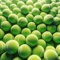 VIV 50 Stück Tennisbälle, fortschrittlicher Übungs-Druckball, springend, 134,6 cm hoch, langlebig; offizielle Größe 6,3 cm, robuster Tennisball für Hunde; Bulk-Tennisball-Trainingsgerät, Spaziergänger