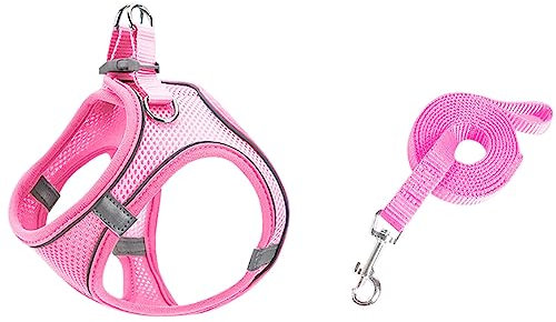 Hundegeschirr mit Leine Set, Step-in Weich Gepolstert Geschirr Reflektierend, Weich Gepolstert Air-Mesh Atmungsaktiv Brustgeschirr, Welpengeschirr für Kleine Hunde, Haustiere, Welpen, Katzen (C, 3XS)