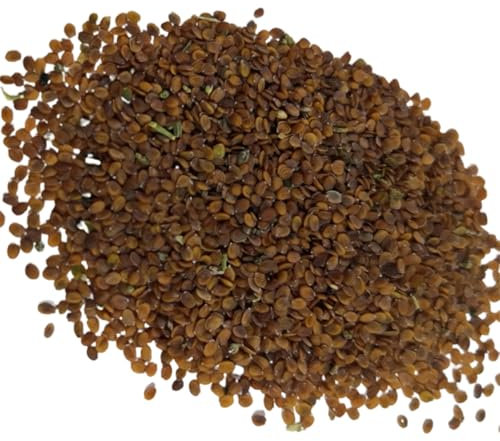 Lot de 500 graines de cresson rock, adaptées pour les pots et l'extérieur - Idéal pour balcon, terrasse, petit jardin