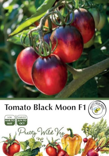 Tomato Black Moon F1 Seeds in Pictorial Packet - 10 Seeds
