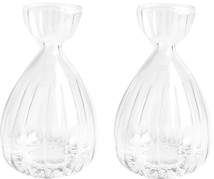 Lot de 2 vases hydroponiques en verre pour semences d'avocat, pots de fleurs pour les amateurs de jardinage (transparent)