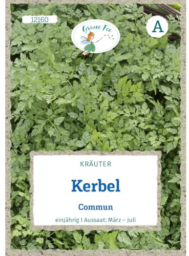 Grüne Fee - Kerbel Commun Samen - 12160