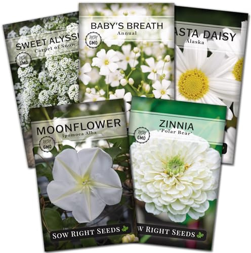 Sow Right Seeds - Moon Garden White Flower Seeds for Planting - Shasta Daisy, Alyssum, Polar Bear Zinnia, Baby’s Breath & Moonflower - Non-GMO Variety to Plant a Stunning Evening Moon Flower Garden