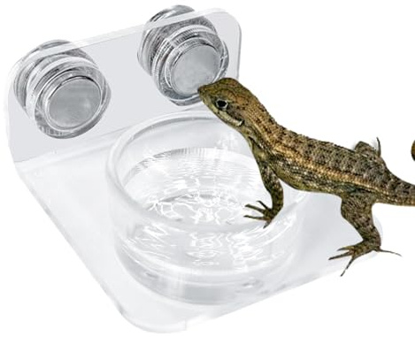 Rebord d'alimentation pour reptiles – Plat à gecko à aimant puissant, bol de nourriture surélevé | Support d'eau pour terrarium, support d'alimentation pour lézards, caméléons, grenouilles d'arbres