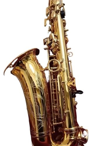 Professionell Saxofon Guldfärgad Altsaxofon I Ess moln Med Fodral Och Munstycke
