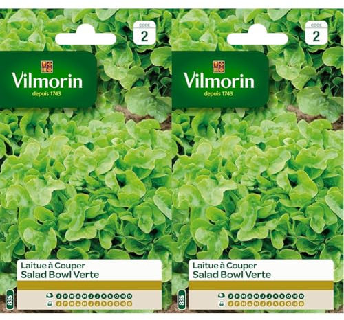 Vilmorin 3609742 Pack de Graines Laitue à Couper Salade Bol Vert (Lot de 2)