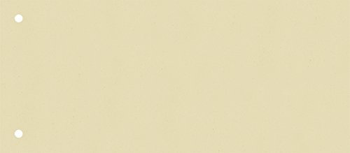 Brunnen 106604011 Trennstreifen (10,5 x 24 cm quer, aus Karton, gelocht, 100 Trennstreifen) chamois