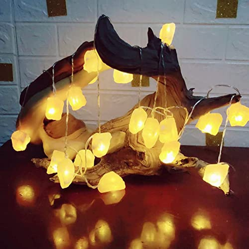 Fantasee Himalaya saltsträng, naturligt handsnidat salt kristall-ljusfrisättning negativa joner för sovrum, vardagsrum, kontor, heminredning, yoga, nattlampa, present (3,5 m 20 LED)