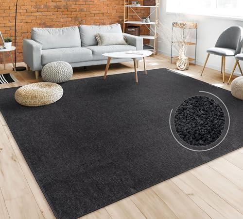 Paco Home Tappeto Pelo Corto, Lavabile, Monocolore, Semplice e Moderno, per Soggiorno, Camera da Letto e Ingresso, Dimensione:60x100 cm, Colore:Nero