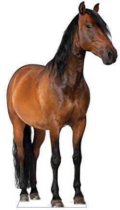Cardboard People Horse Life Size Cardboard Cutout Standup - Horse Decorations