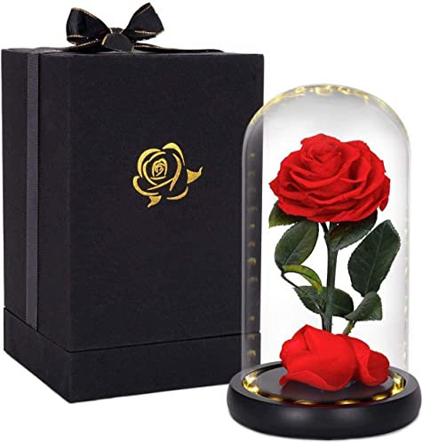 HelaCueil Die Schöne und das Biest Rose Ewige Rose im Glas - with LED Light and Gift Box Muttertagsgeschenk 20cm (Echte Rose/Die Schöne und das Biest)