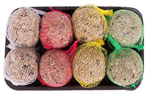 Pfiffikus Meisenknödel 8 Stück in 4 verschiedenen Sorten | Vogelfutter mit Insekten, Beeren, Nüssen | Hochwertiges Wildvogelfutter zur Ganzjahresfütterung heimischer Vögel | Made in Germany